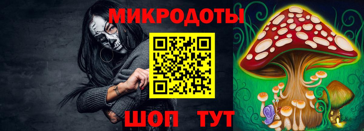 Галлюциногенные грибы GOLDEN TEACHER  Вход с VPN  Галлюциногенные грибы ЛСД  Буйнакск 